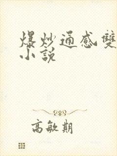 爆炒通感双胞胎小说