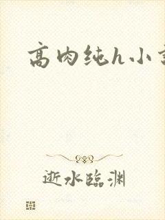 高肉纯h小说