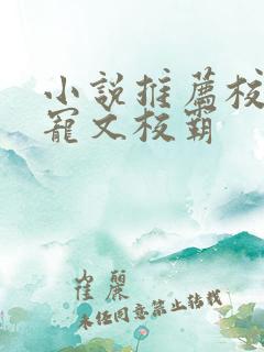 小说推荐校园甜宠文校霸