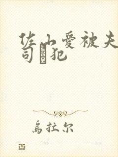 佐山爱被夫の上司に犯
