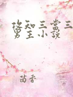 攻知三当三的双男主小说