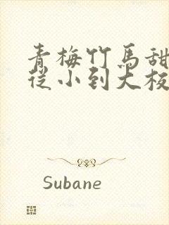 青梅竹马甜宠文从小到大校园