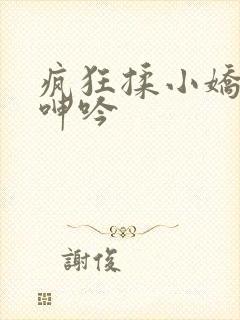 疯狂揉小娇喘声呻吟