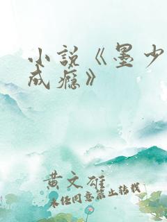 小说《墨少宠妻成瘾》