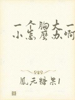 一个胸大一个胸小怎么办啊