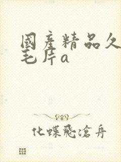 国产精品久久久毛片a