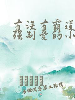 有没有霸道总裁强制爱的小说