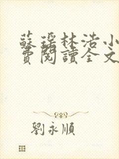 苏瑶林浩小说免费阅读全文最新章节