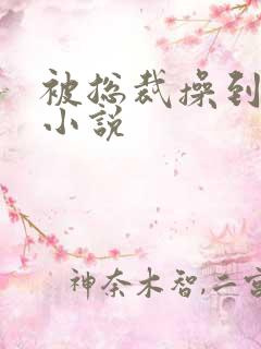 被总裁操到高潮小说