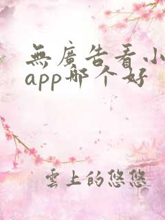 无广告看小说的app哪个好