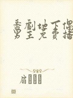 番剧地下偶像双男主免费播放