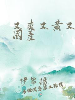 又爽又黄又刺激国产