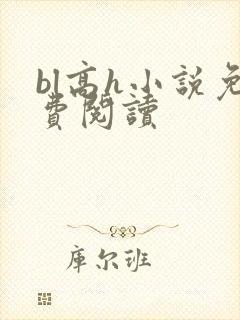 bl高h小说免费阅读
