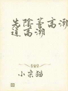 先阴蒂高潮再阴道高潮