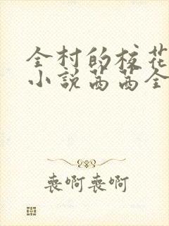 全村的校花妹妹小说茜茜全文阅读