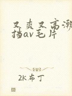 又爽又高潮无遮挡av毛片