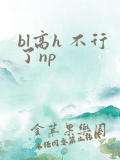 bl高h 不行了np
