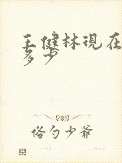 王健林现在身家多少