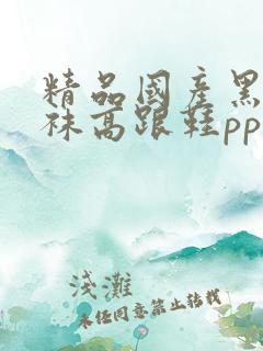 精品国产黑色丝袜高跟鞋pp