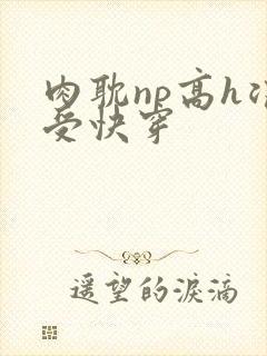 肉耽np高h浪受快穿