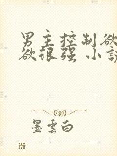 男主控制欲占有欲很强 小说