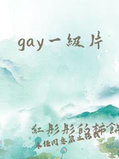 gay一级片
