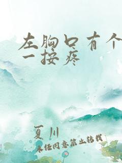 左胸口有个硬块一按疼