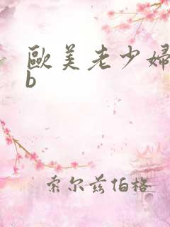 欧美老少妇bbb