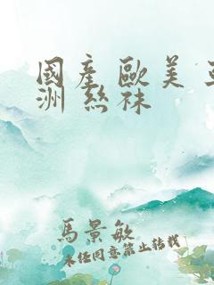 国产 欧美 亚洲 丝袜