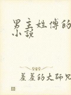 男主姓傅的全部小说