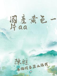 国产黄色一级大片aa