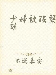 少妇被强系列小说