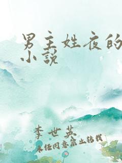 男主姓夜的现代小说