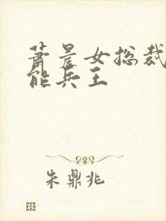 萧晨女总裁的全能兵王