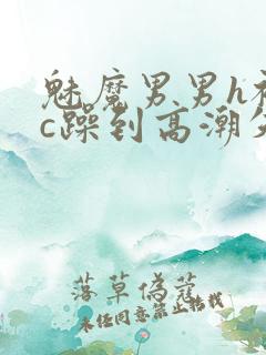 魅魔男男h被狂c躁到高潮失禁