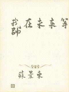 我在未来等你王帅