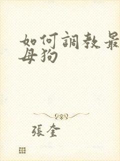 如何调教最骚的母狗