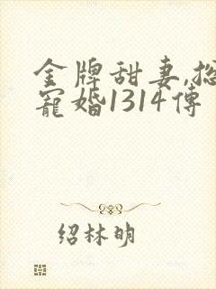 金牌甜妻,总裁宠婚1314传
