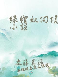 绿帽奴伺候情夫小说