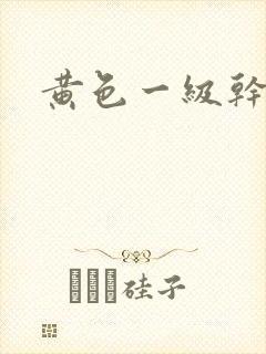 黄色一级干逼片
