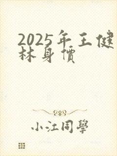 2025年王健林身价