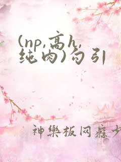 (np,高h,纯肉)勾引
