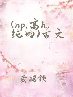 (np,高h,纯肉)古文