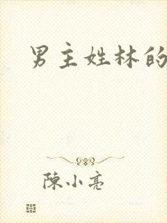 男主姓林的小说