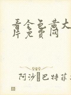 看全色黄大色大片免费网