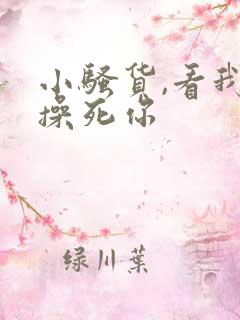 小骚货,看我不操死你