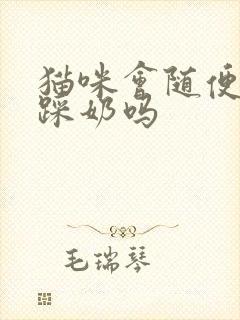 猫咪会随便给人踩奶吗