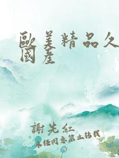 欧美精品久久久国产