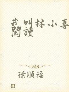 我叫林小喜第一阅读