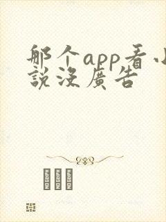 那个app看小说没广告